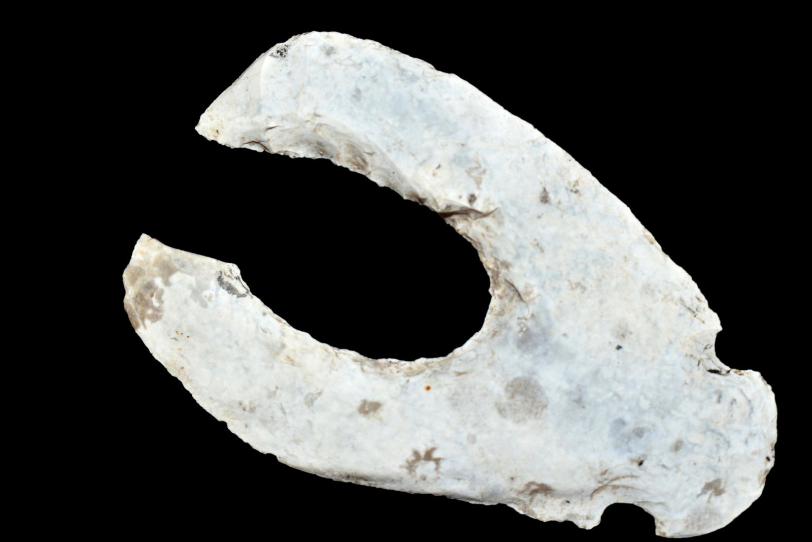 2 1/2" Mayan Eccentric Lobster Claw (1 of 5)