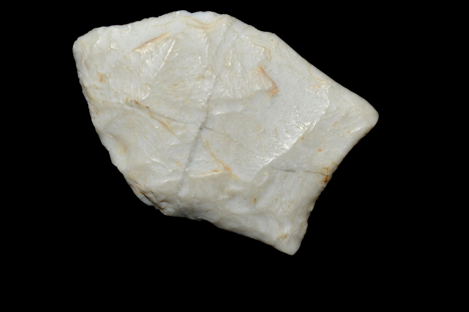 1 7/16" Pelican Point, Found near the Sulphur River in (1 of 5)