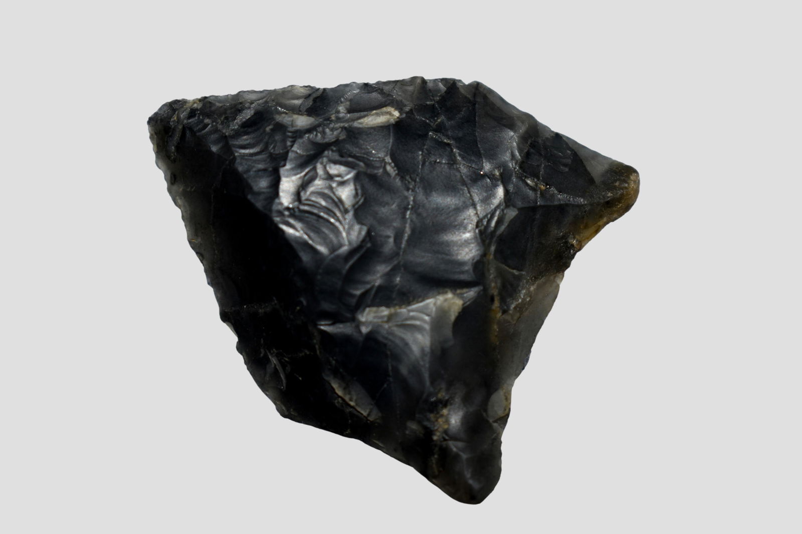 1 7/16" Pelican Point, Found near the Sulphur River in (1 of 5)