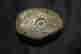 item-102492987=3