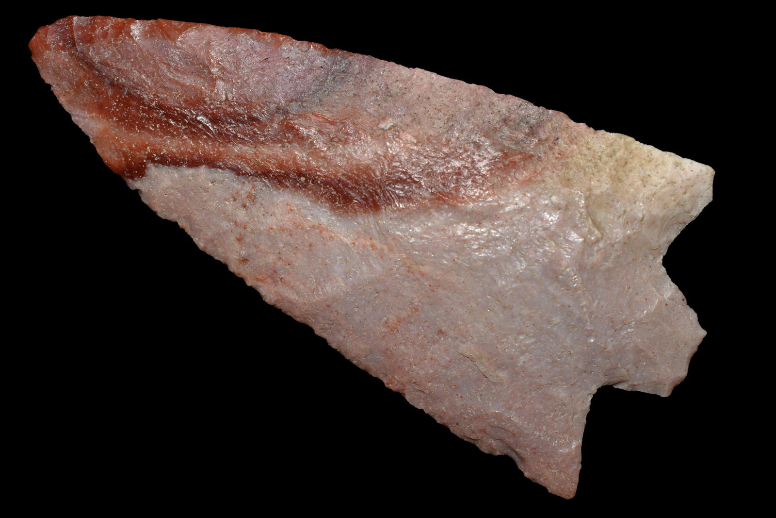 4 3/8" Very Coloful Newnan, Found in Florida, Native (1 of 5)