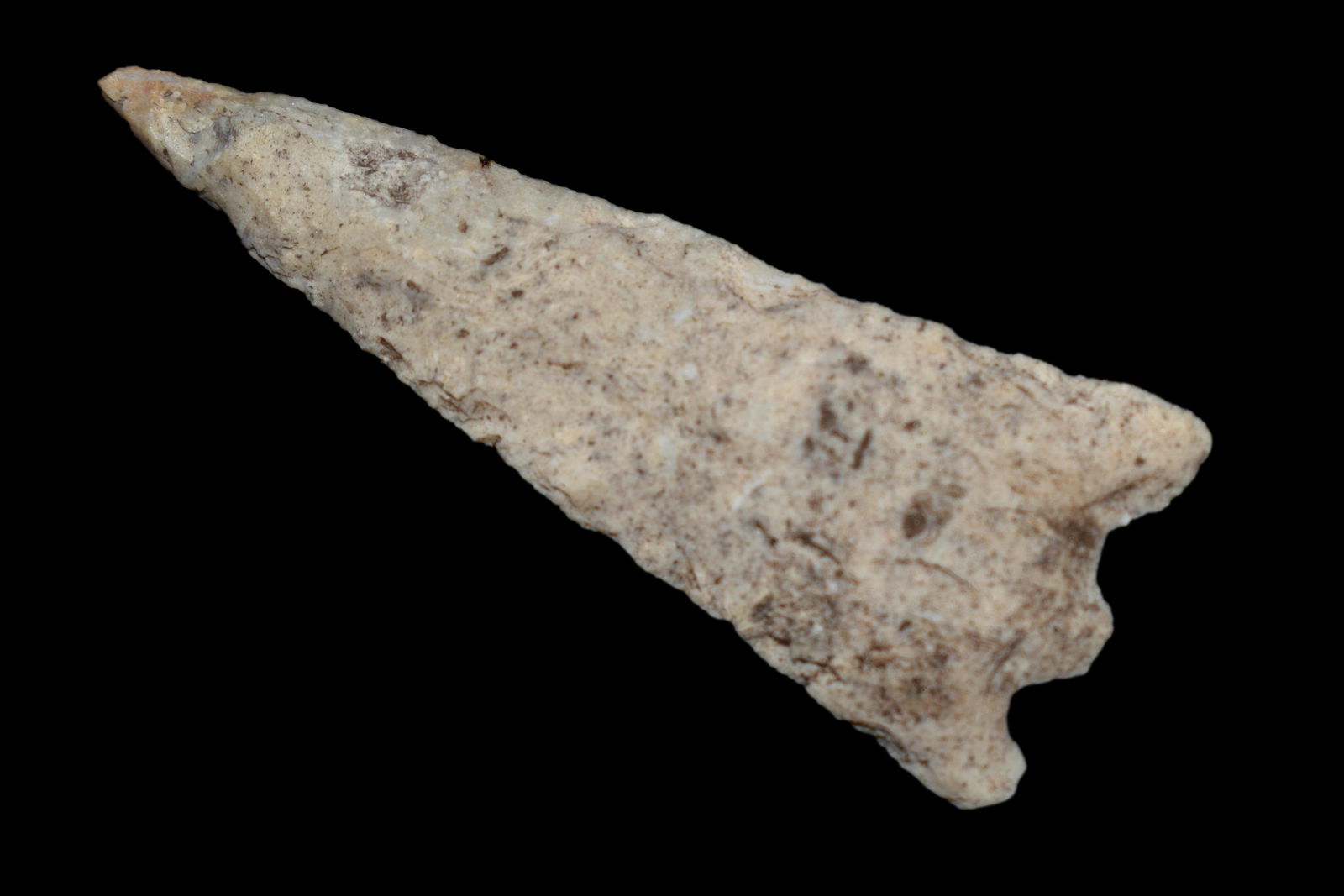 2" Hernando, Land Find in Highlands Co. Florida, Native (1 of 5)