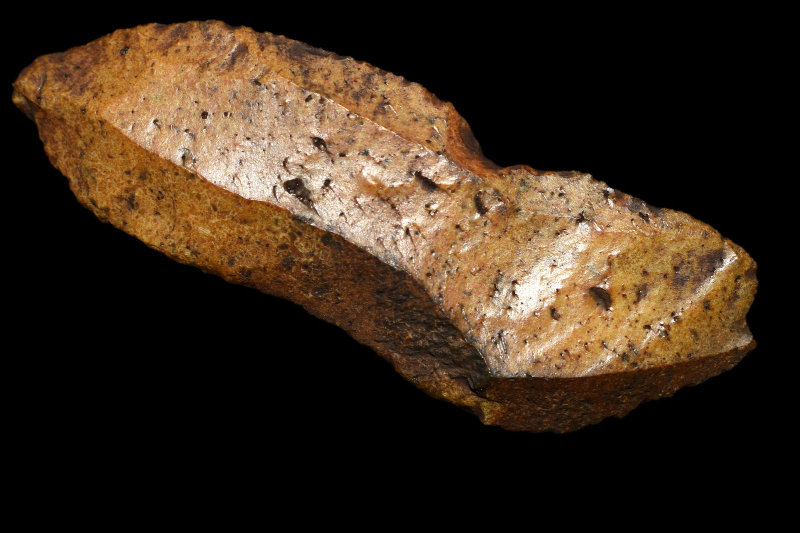 3 3/4" Paleo Uniface, Suwannee River Florida, Native (1 of 5)