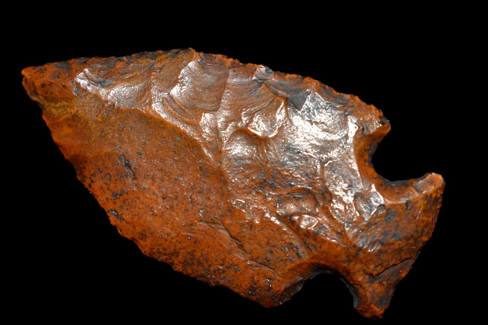 2 3/8" Bolen Plain, Native American Artifacts (1 of 5)