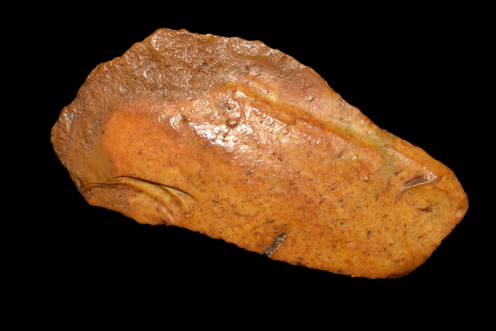 3" Paleo Knife, Clovis Culture, Found in Florida, (1 of 5)