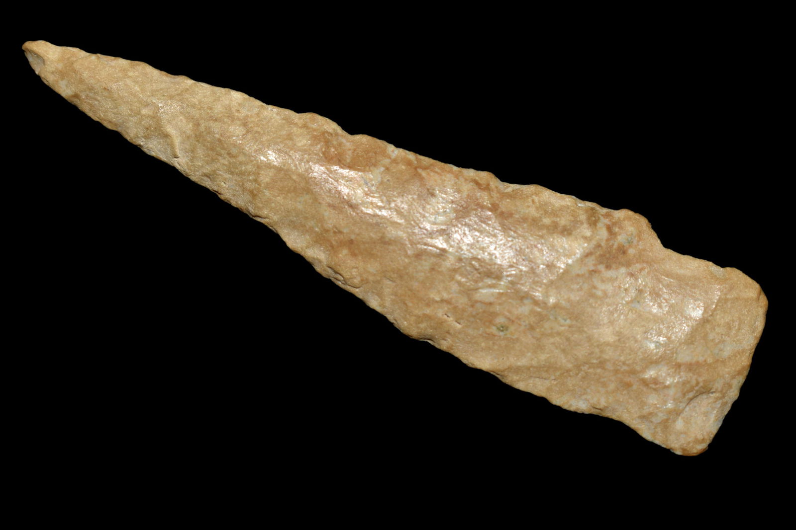 3 3/16" Scottsbluff/Cody Complex, Found by James (1 of 7)