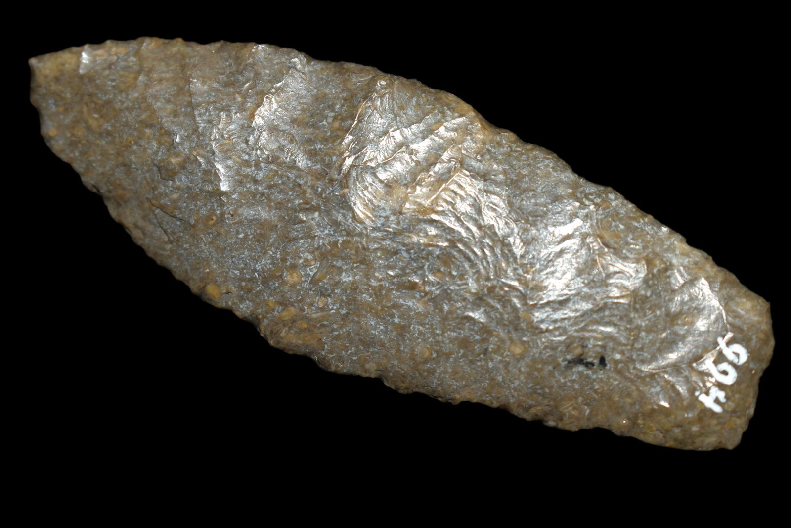 3 1/8" Agate Basin, Found in Kansas, Ex Dave Harvey, (1 of 7)