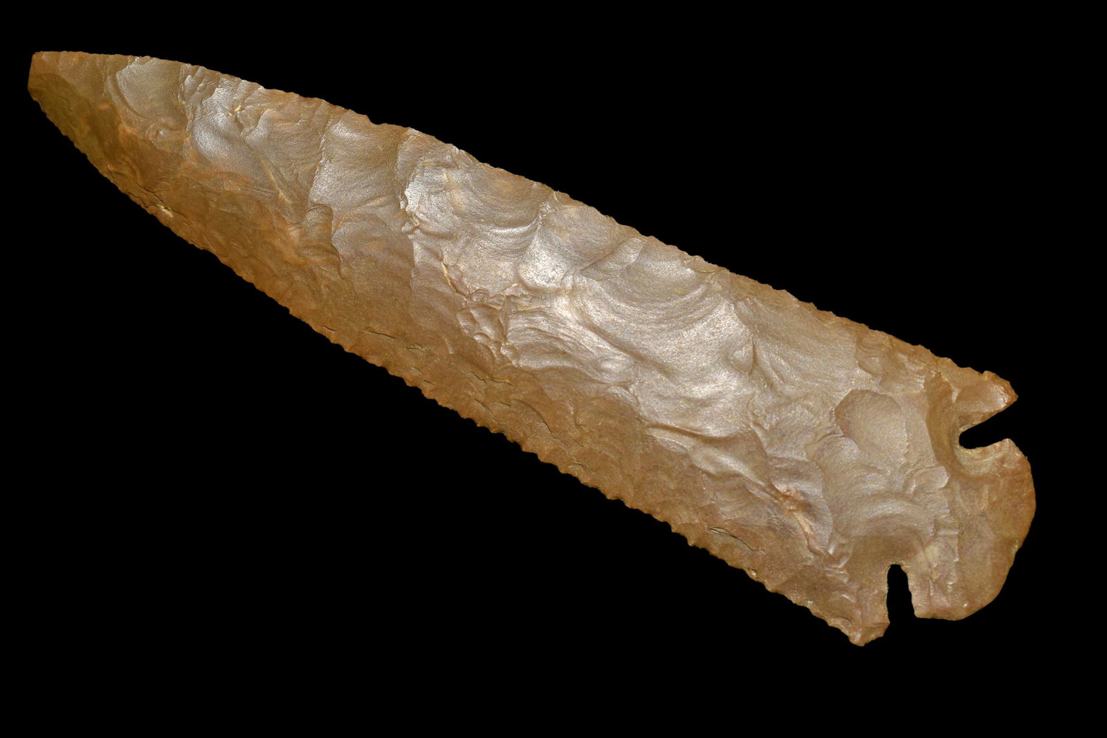 Phenomenal 5 5/8" Dovetail, Found in Lawrence Co. (1 of 7)