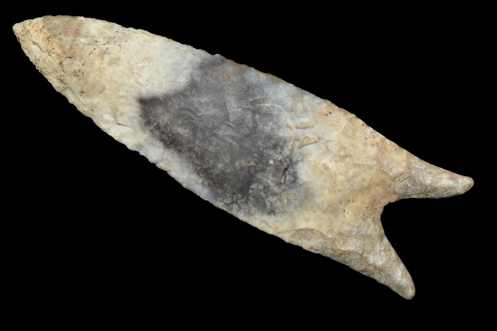 3 3/8" Restored Dalton, Native American Artifacts (1 of 5)