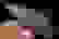 item-103030921=2