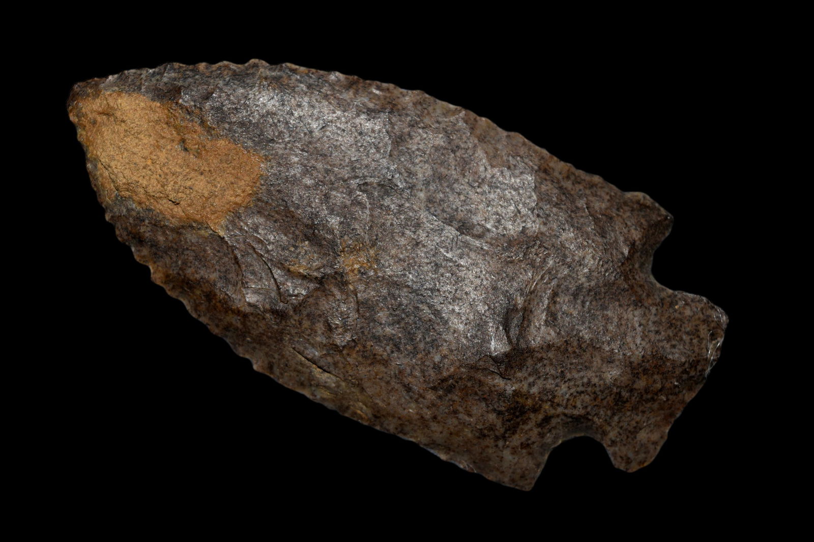 2 7/8" Hamilton found in Kentucky, ex. Greg Perino: 2 7/8" Hamilton found in Kentucky, ex. Greg Perino