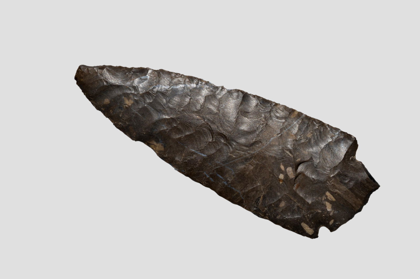 2 1/2" Heartbreaking Parallel Flaked Arrowhead found in (1 of 6)