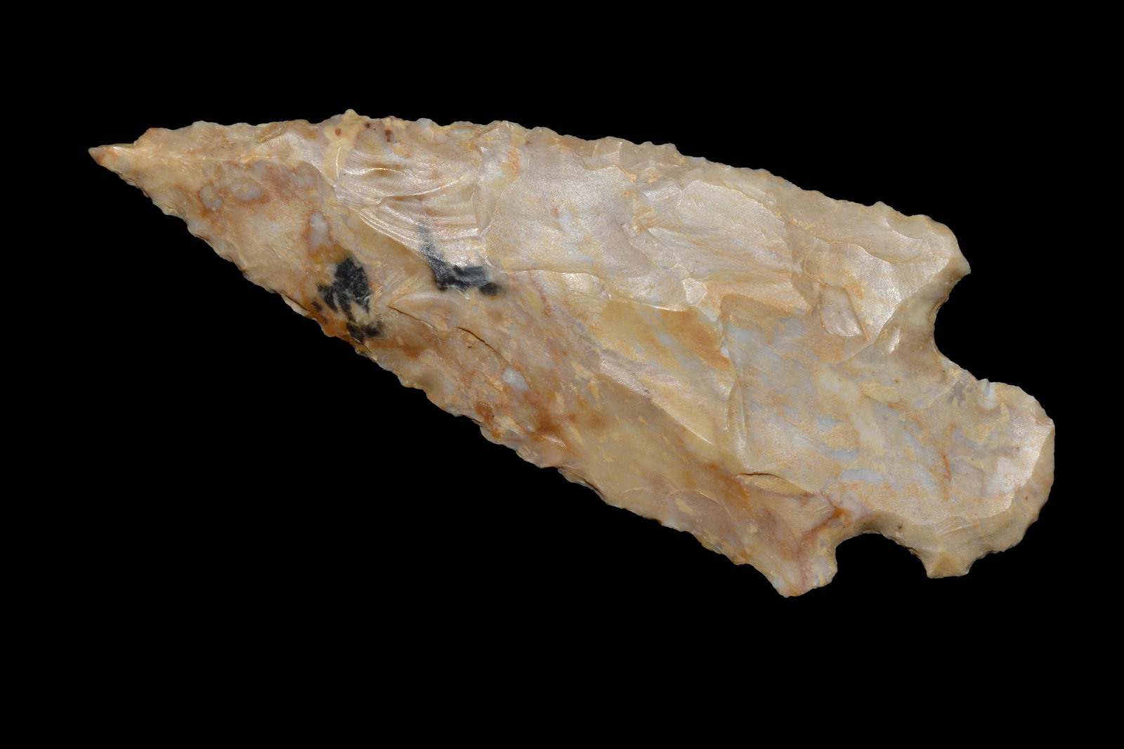 3 1/8" Stemmed Point found by John Fellows about 1955 (1 of 7)