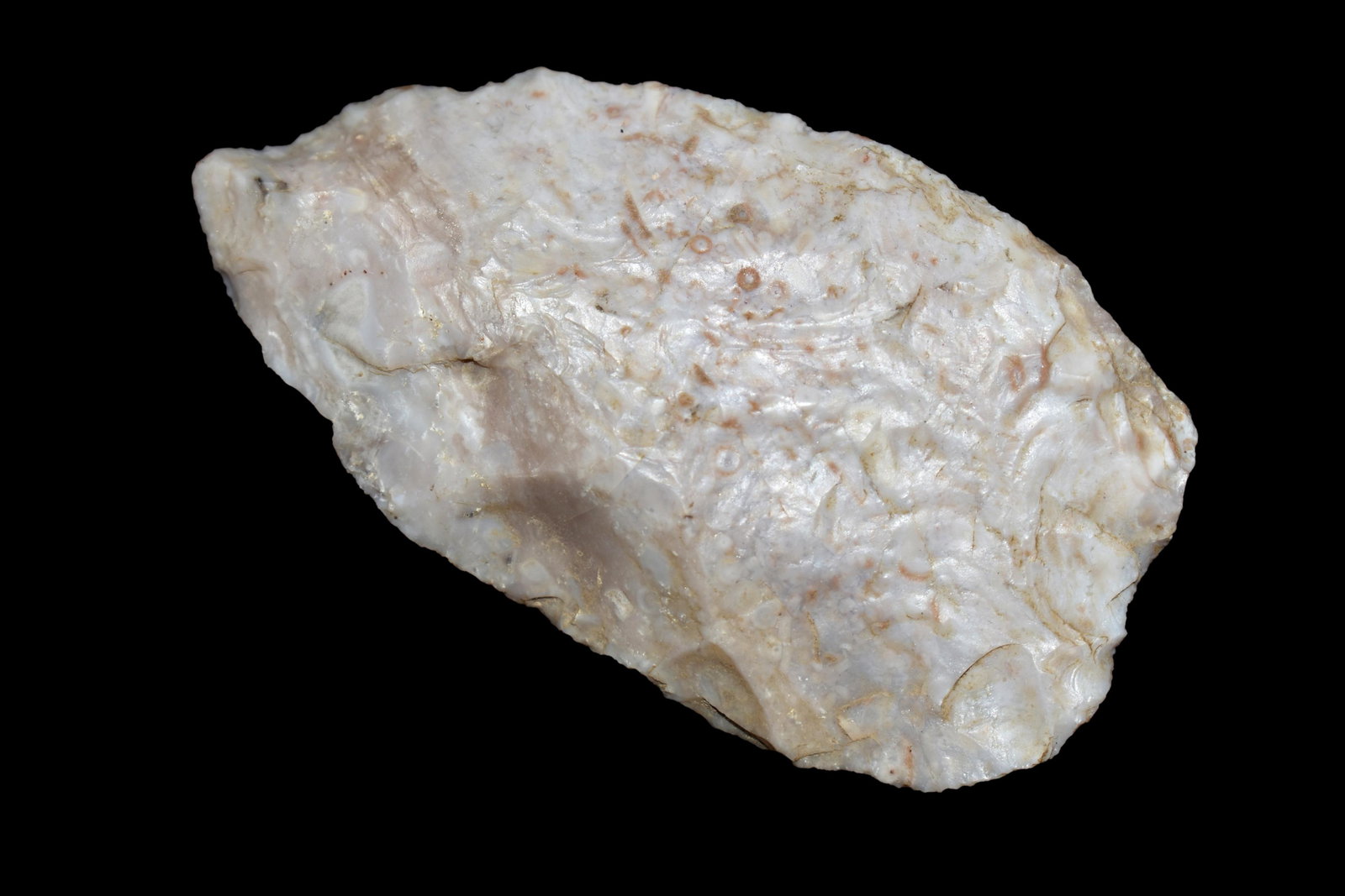 2 3/4" Blade (1 of 5)