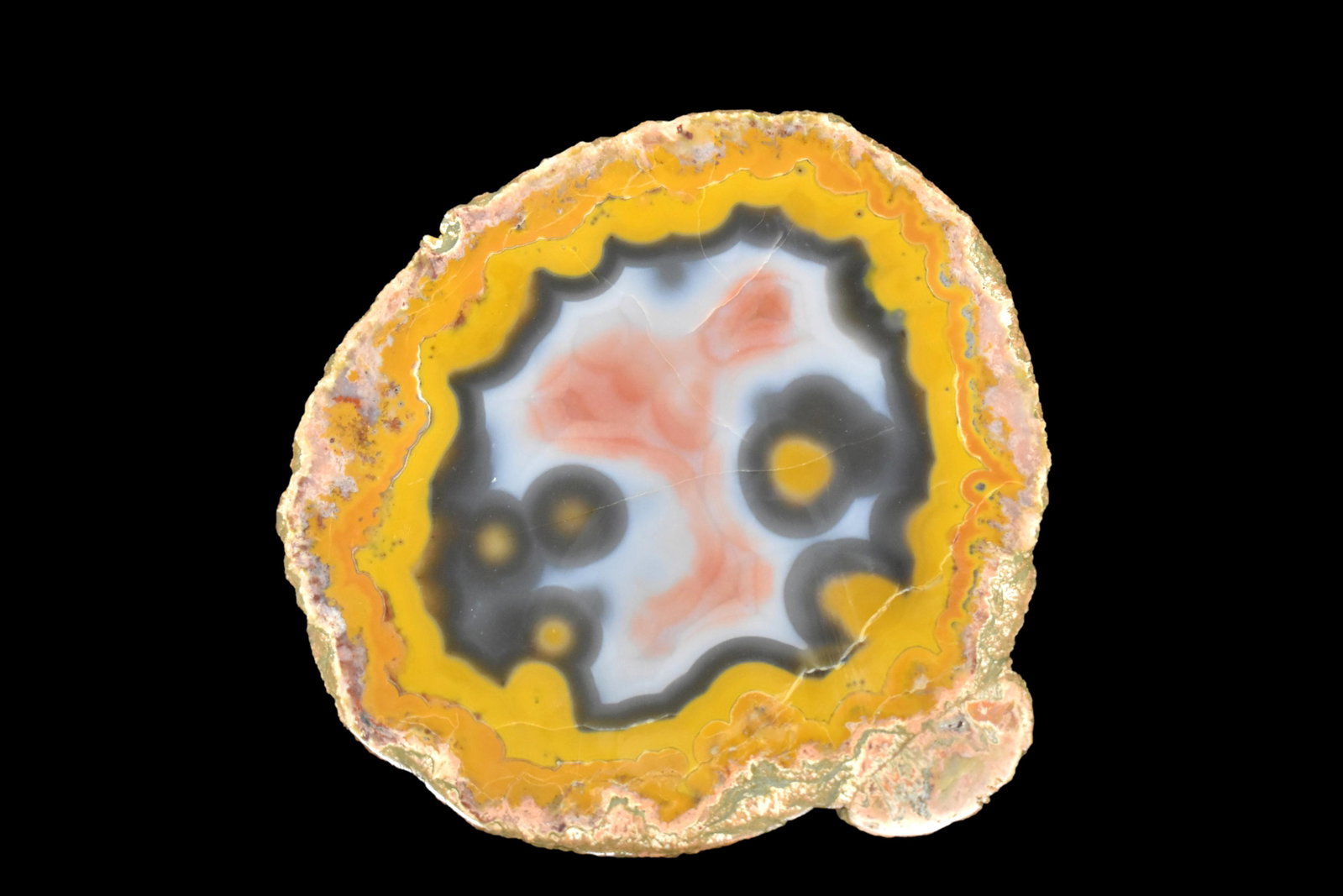 Kentucky Agate Slice. Powell County, KY: Kentucky Agate Slice. Powell County, KY