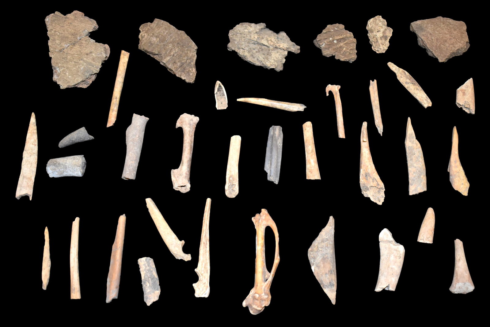 Frame of Site material Archaic cut bone and antler: Frame of Site material Archaic cut bone and antler Artifacts from Eagle's Point Site, Ohio Co., KY