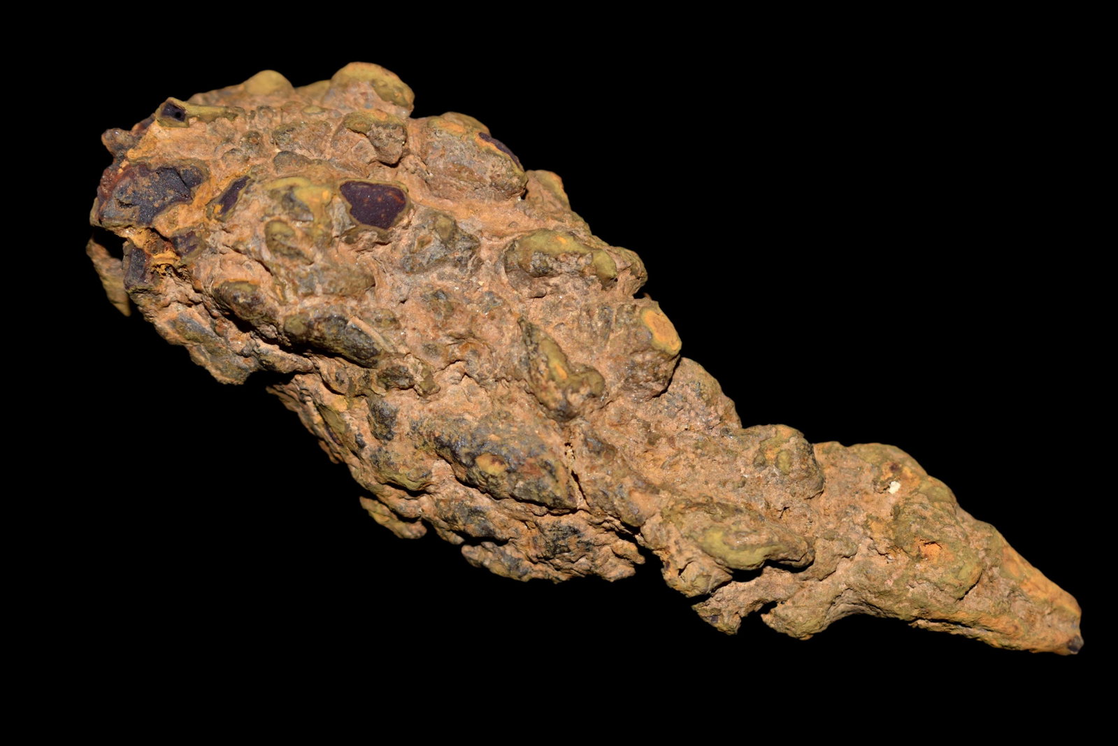 3 7/8" Piece of Coprolite / Dinosaur Dung: 3 7/8" Piece of Coprolite / Dinosaur Dung