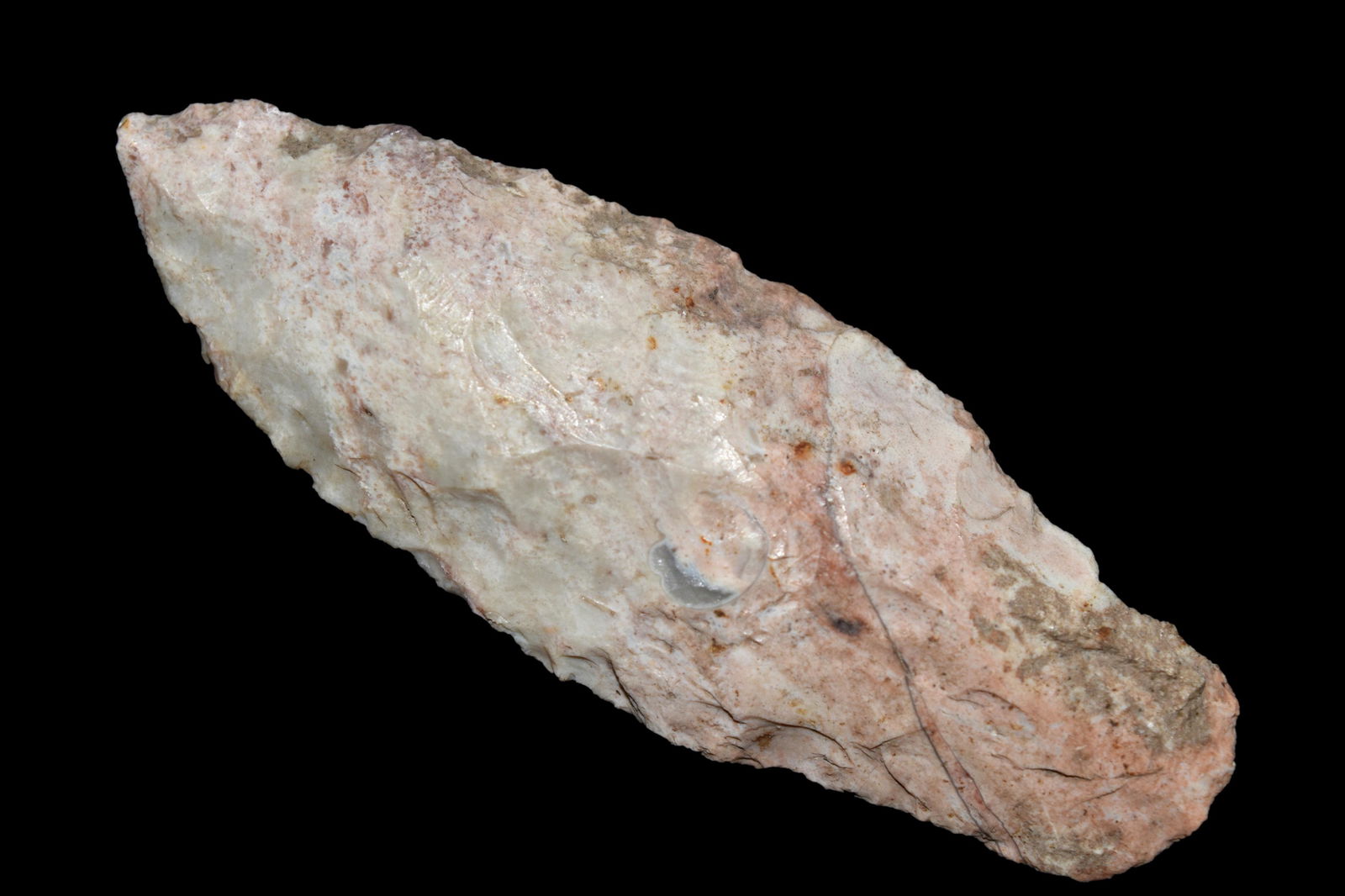 2 7/8" Adena found in Dekalb Co., Illinois by Roland (1 of 5)