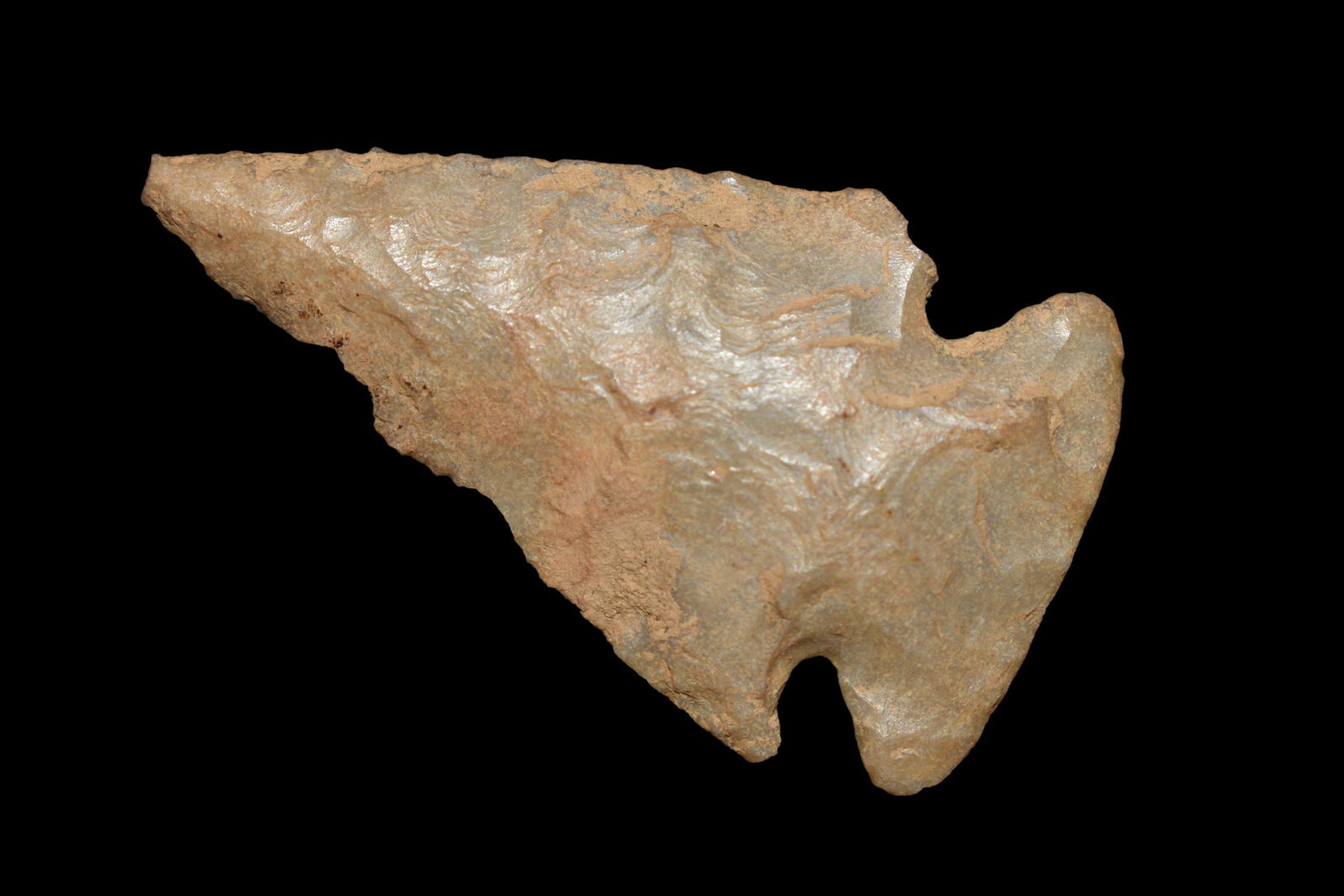 1 7/8" Carter Cave Dovetail found in Kentucky, (1 of 5)