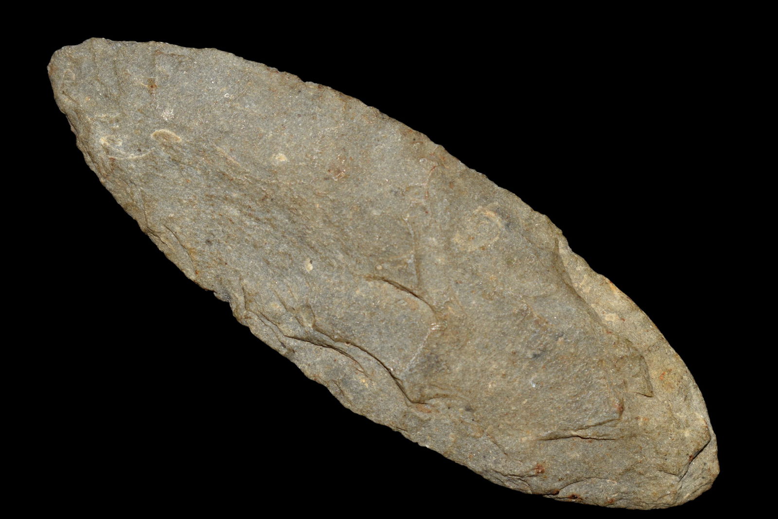 3 3/8" Leafblade found in Tennessee, Authentic Native (1 of 5)