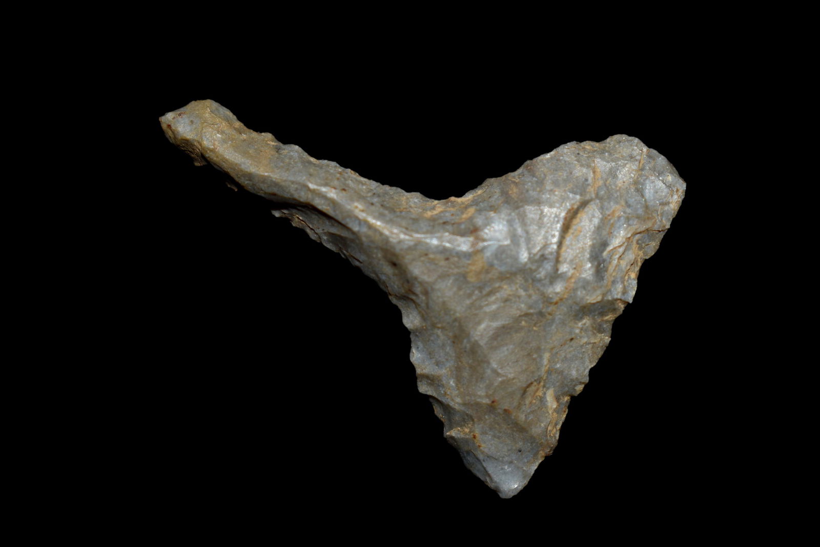 1 1/2" Paddle Drill found in Kentucky, Authentic Native (1 of 5)