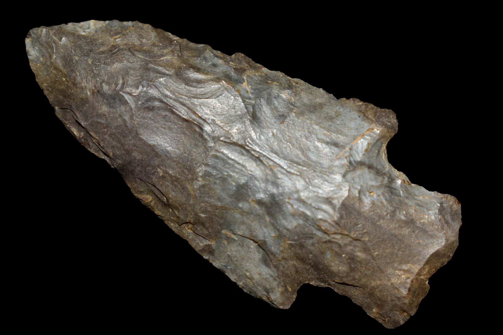 2 5/8" Pickwick found in Tennessee, Authentic Native (1 of 5)