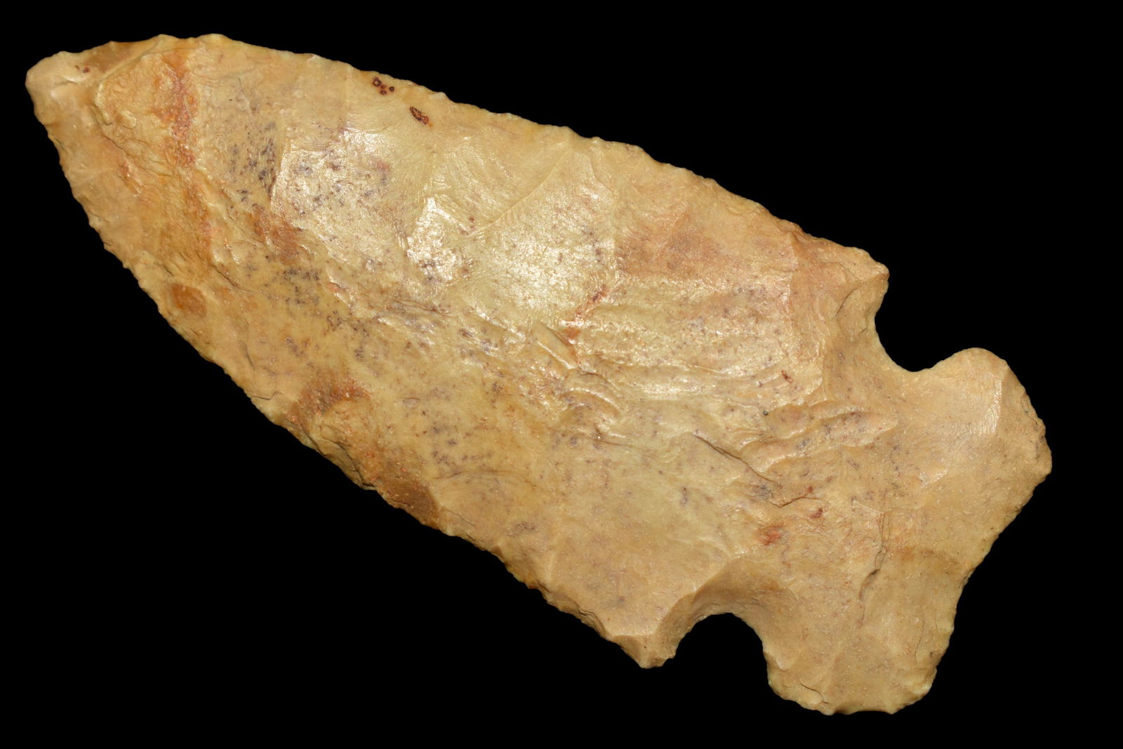 Outstanding 3 1/8" Osceola found in Schyluer Co., (1 of 5)