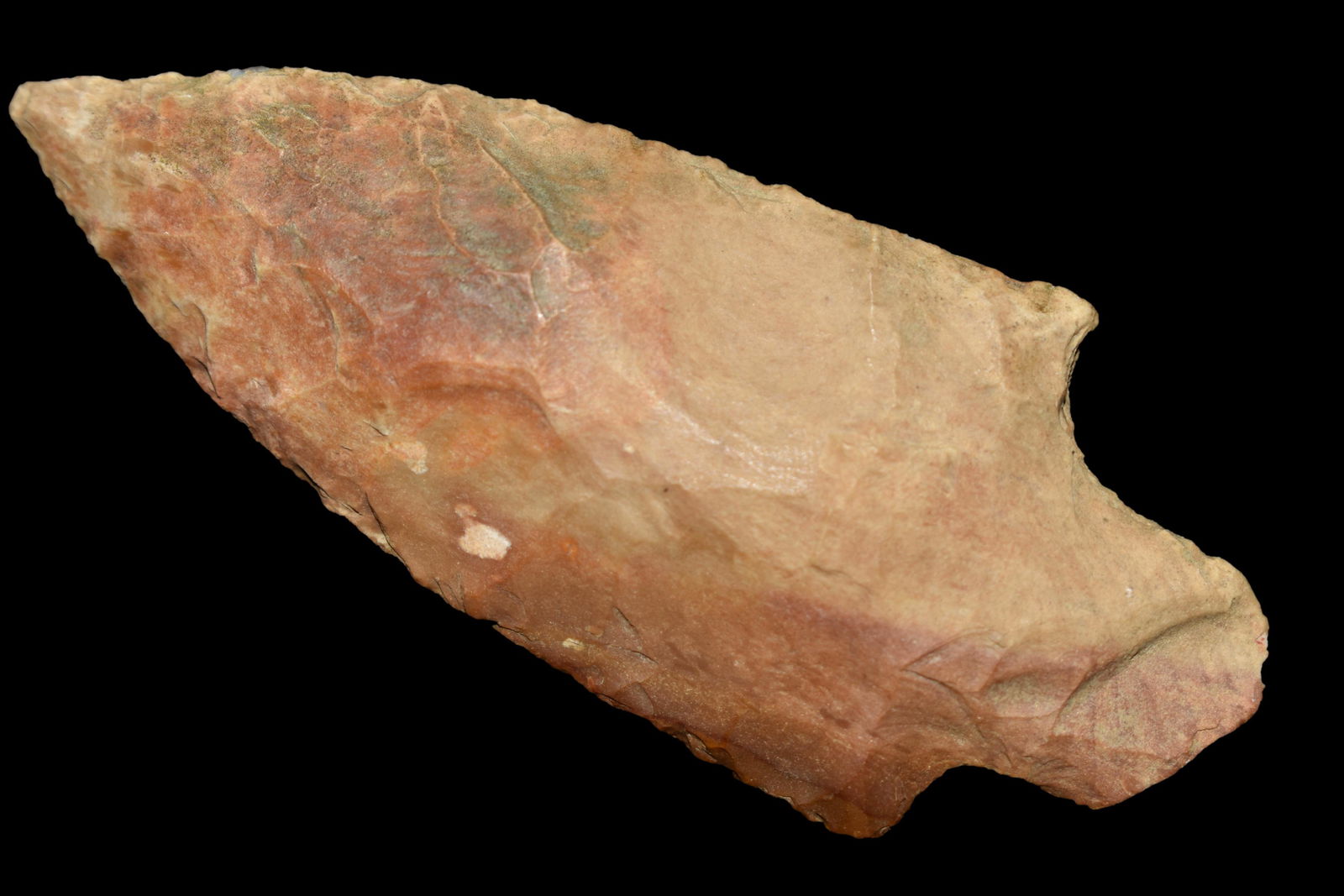 3 3/8" Pickwick, Davis COA, found in Kentucky made of (1 of 5)