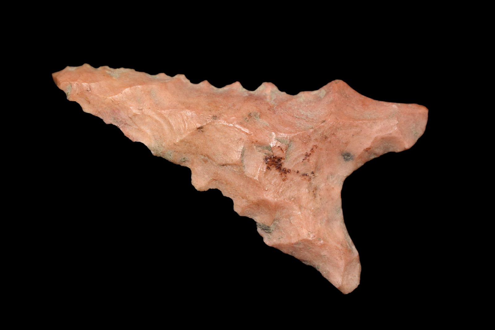 Excellant 1 7/8" Beveled Dalton found in Greene Co., (1 of 5)