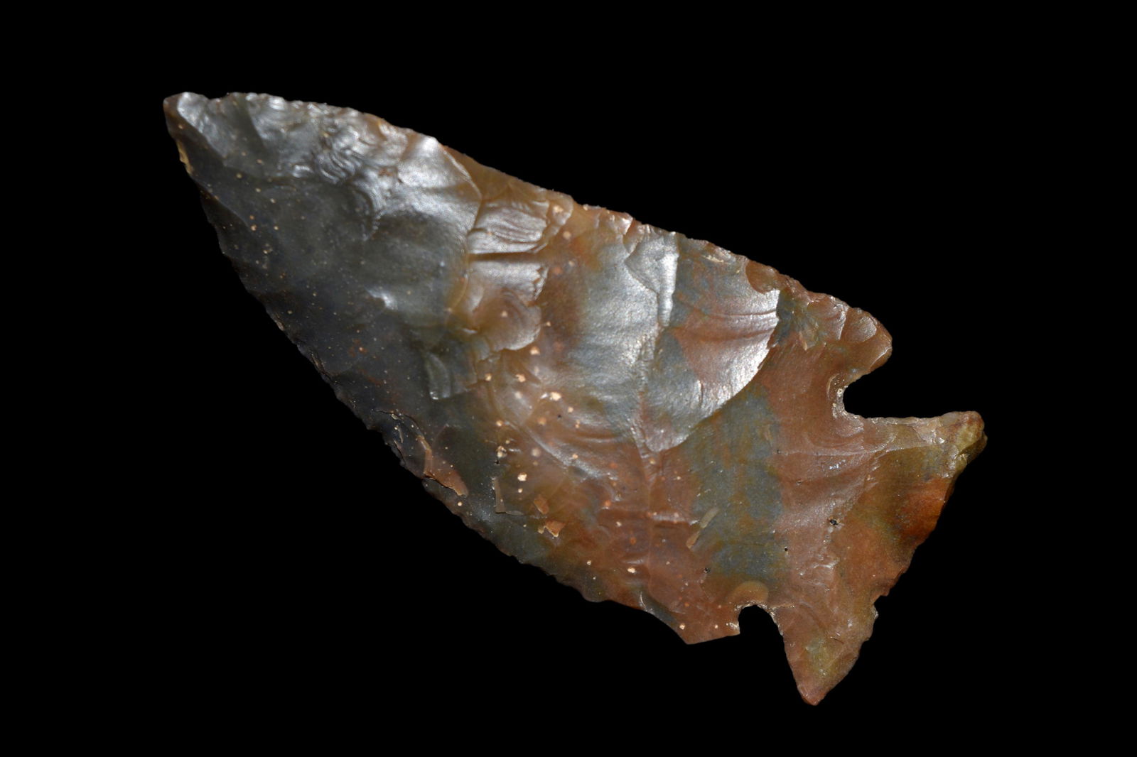 2 1/4" Sonora Jacks Reef found in Kentucky, Authentic (1 of 5)