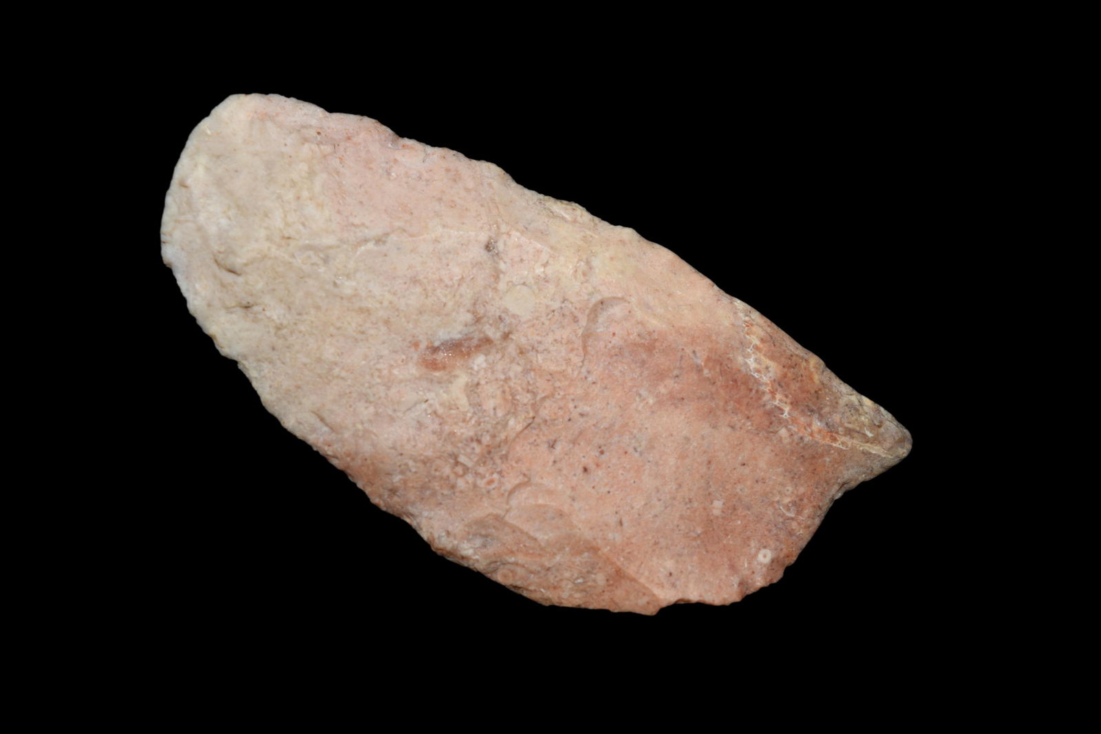 1 7/8" Fluted Clovis, Great Canidate for Restoration, (1 of 5)