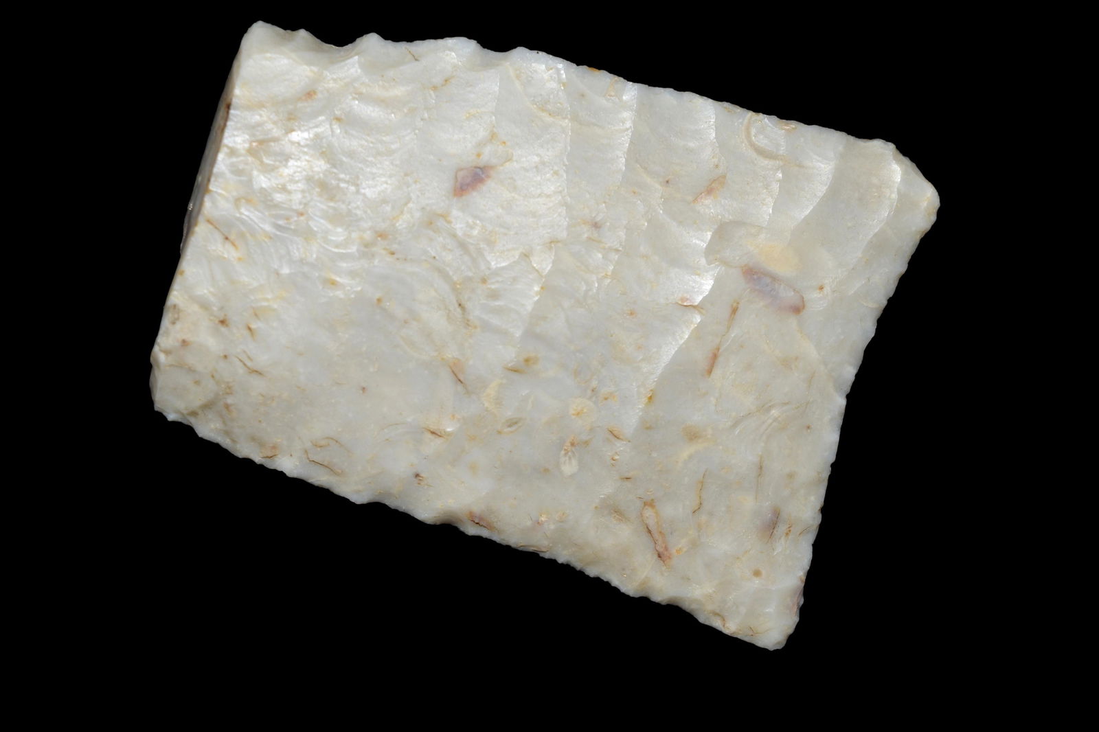 2 1/4" Heartbreaker Sloan Dalton, Great Canidate for (1 of 5)