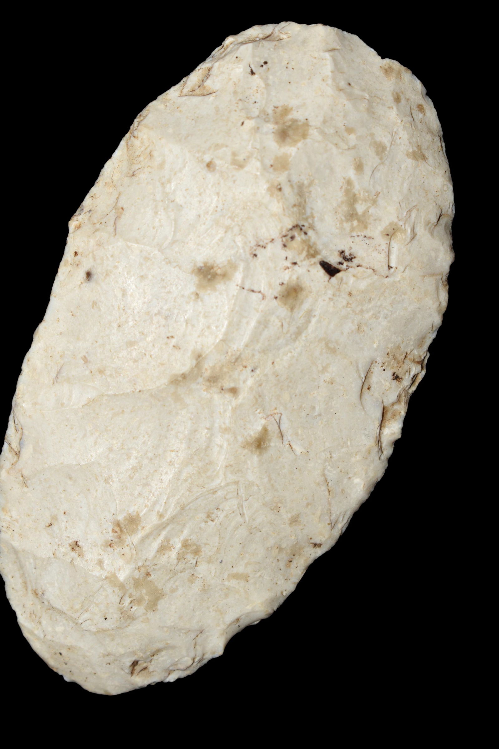 3 1/2" Ovoid Blade found in Hancock Co., Illinois, (1 of 4)