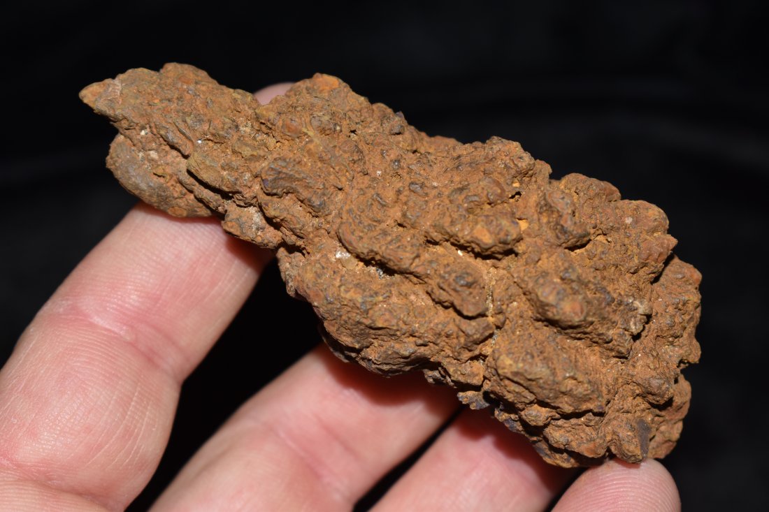 Dinosaur Dung Poop Coprolite Fossil Millions Years Old (1 of 4)