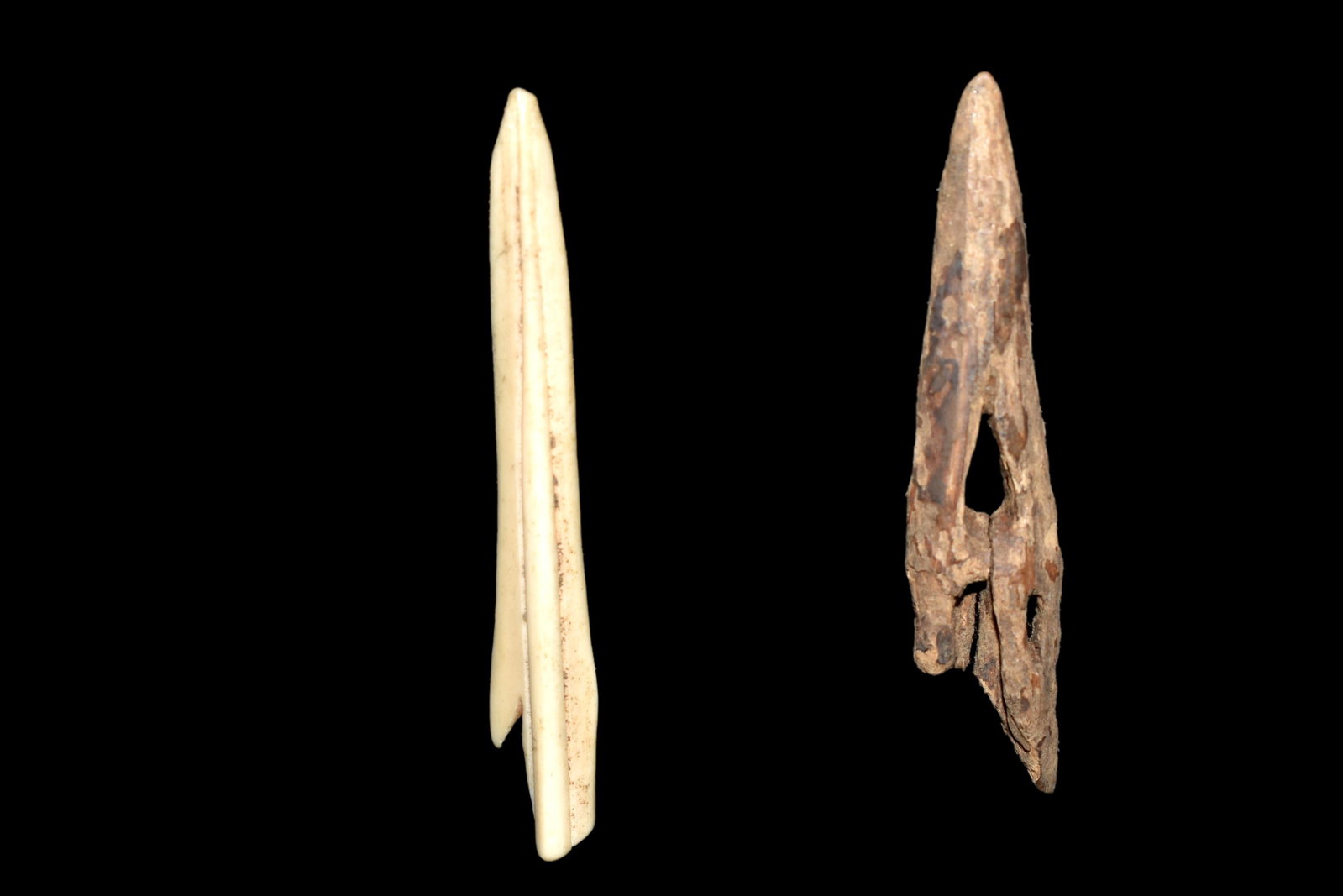 Alaskan Bone Awls, Eskimo: Alaskan Bone Awls, Eskimo
