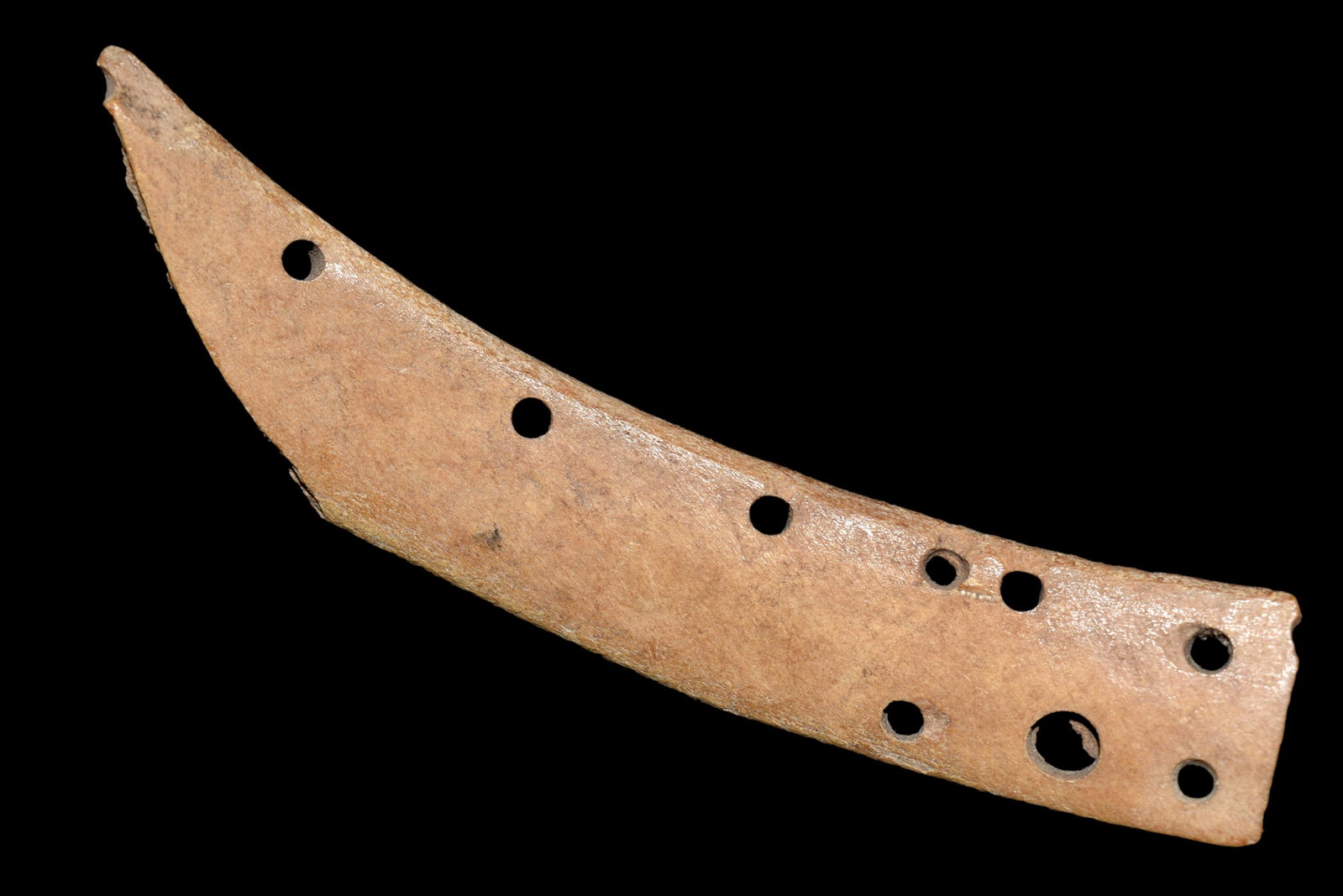 5 3/4" drilled bone sled piece: 5 3/4" drilled bone sled piece