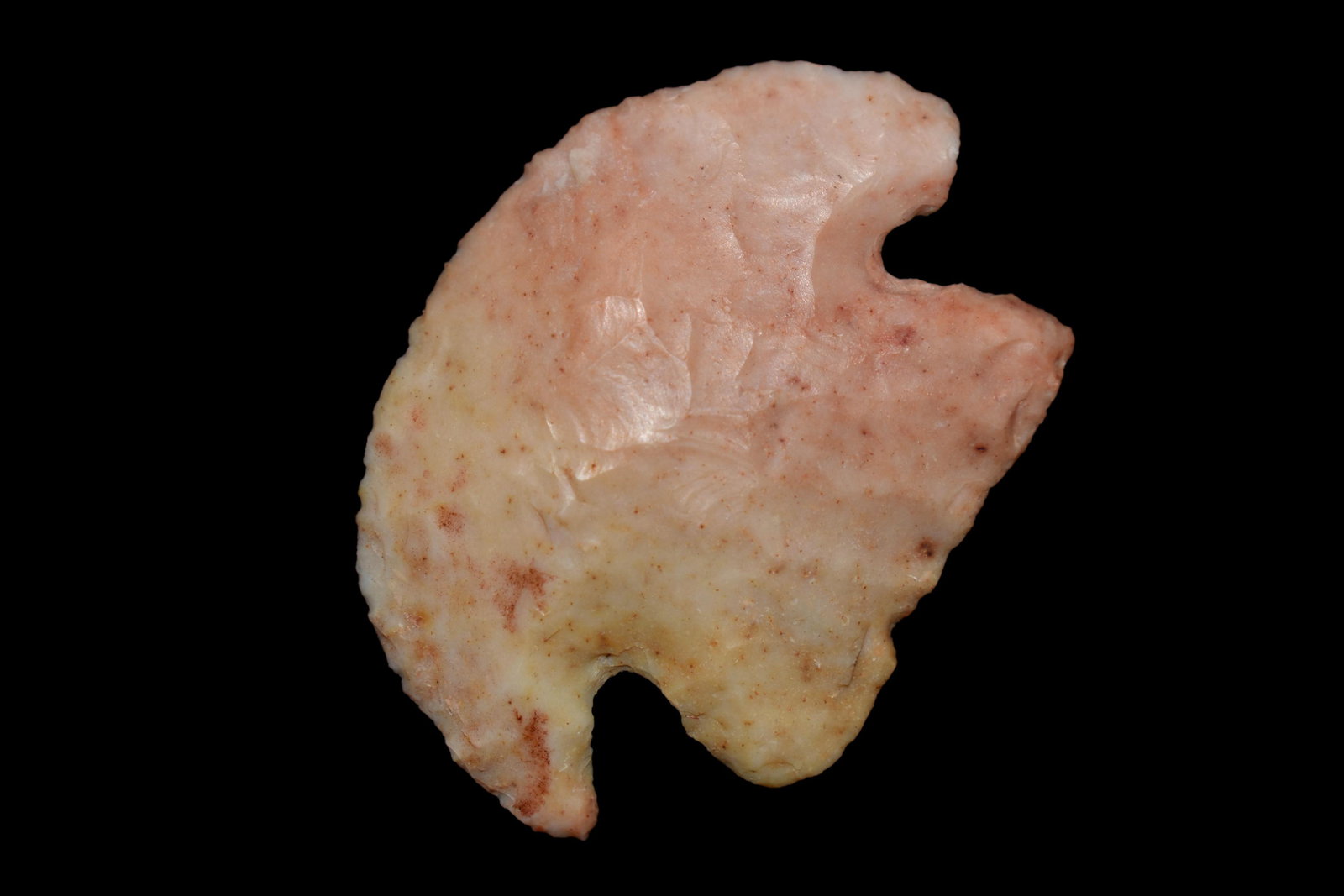 1 5/8" COLORFUL HOPEWELL BLUNT / HAFTED SCRAPER FOUND (1 of 5)