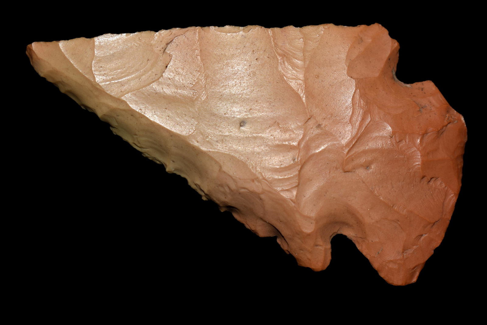 2 3/4" ST CHARLES / DOVETAIL FOUND IN LINCOLN COUNTY (1 of 4)