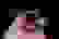 item-104470094=6