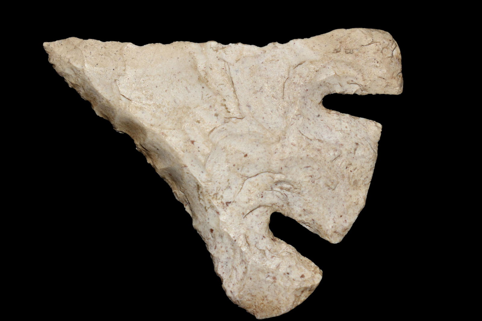 INCREDIBLE CALF CREEK, TOM DAVIS COA, FOUND IN (1 of 8)