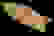item-104470199=1