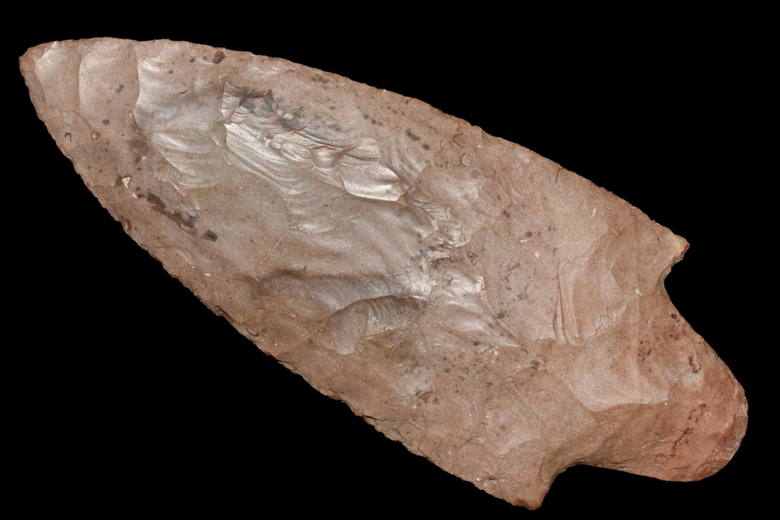 INCREDIBLE ADENA, EX B.W. STEPHENS, DICKEY COA, FOUND (1 of 11)