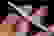 item-104470269=3