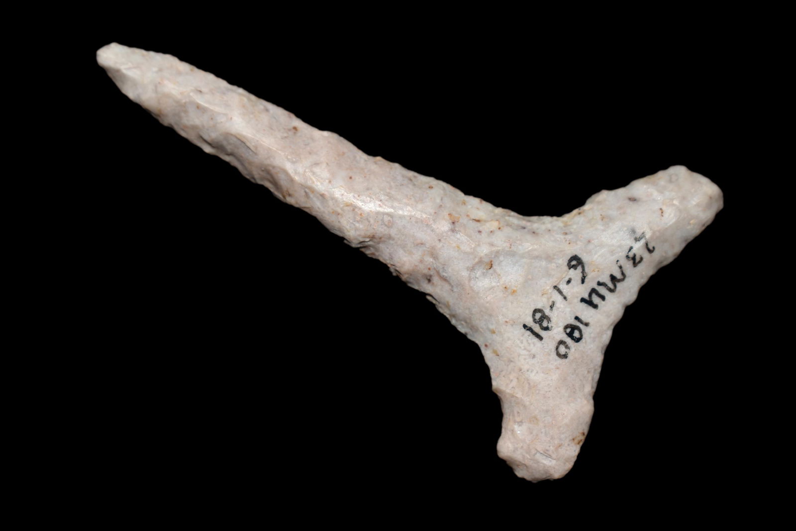 INCREDIBLE ARCHAIC T-DRILL FOUND IN SOUTHERN MISSOURI, (1 of 4)