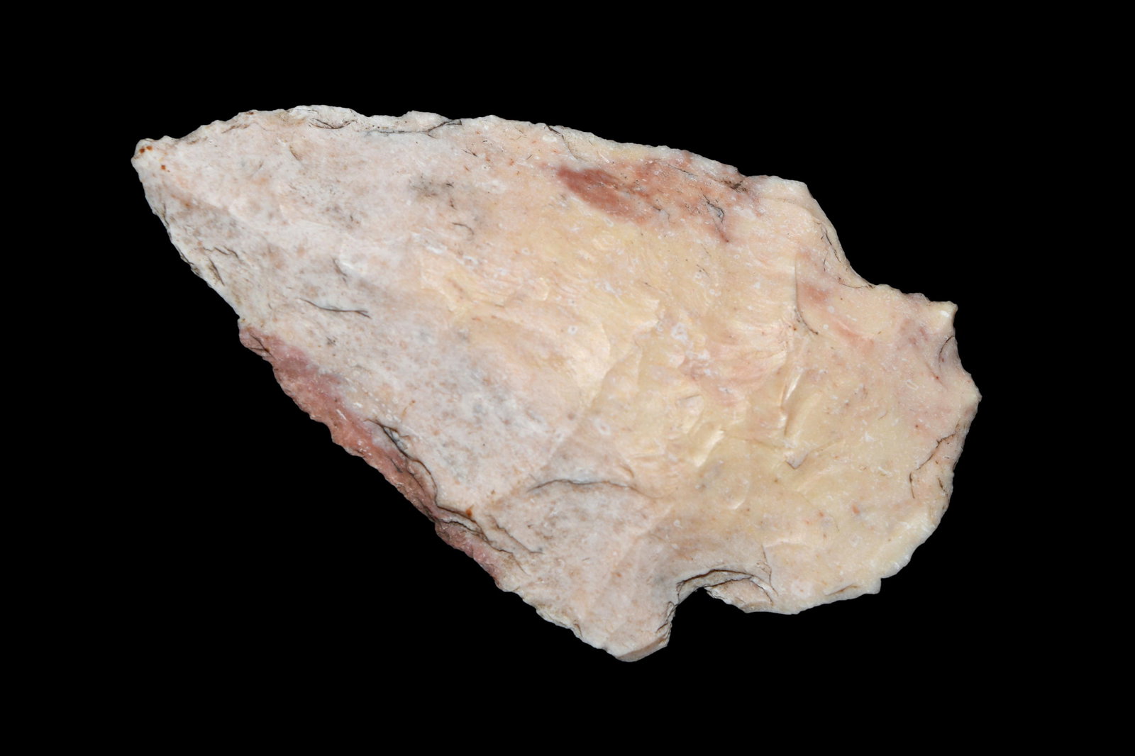 2 1/2" Woodland Point. This collection contains the (1 of 7)