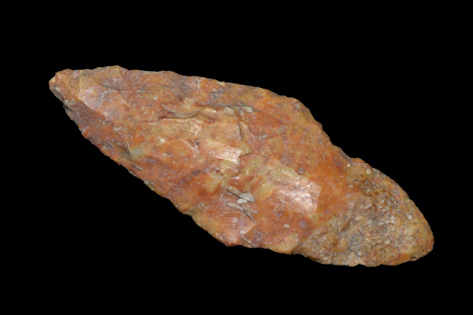 2 5/8" Adina. This collection contains the personally: 2 5/8" Adina. This collection contains the personally found relics of Steve Koch, Winchester Illinois. Steve hunted relics his entire life with family and friends. He mainly hunted in the Scott Co., I