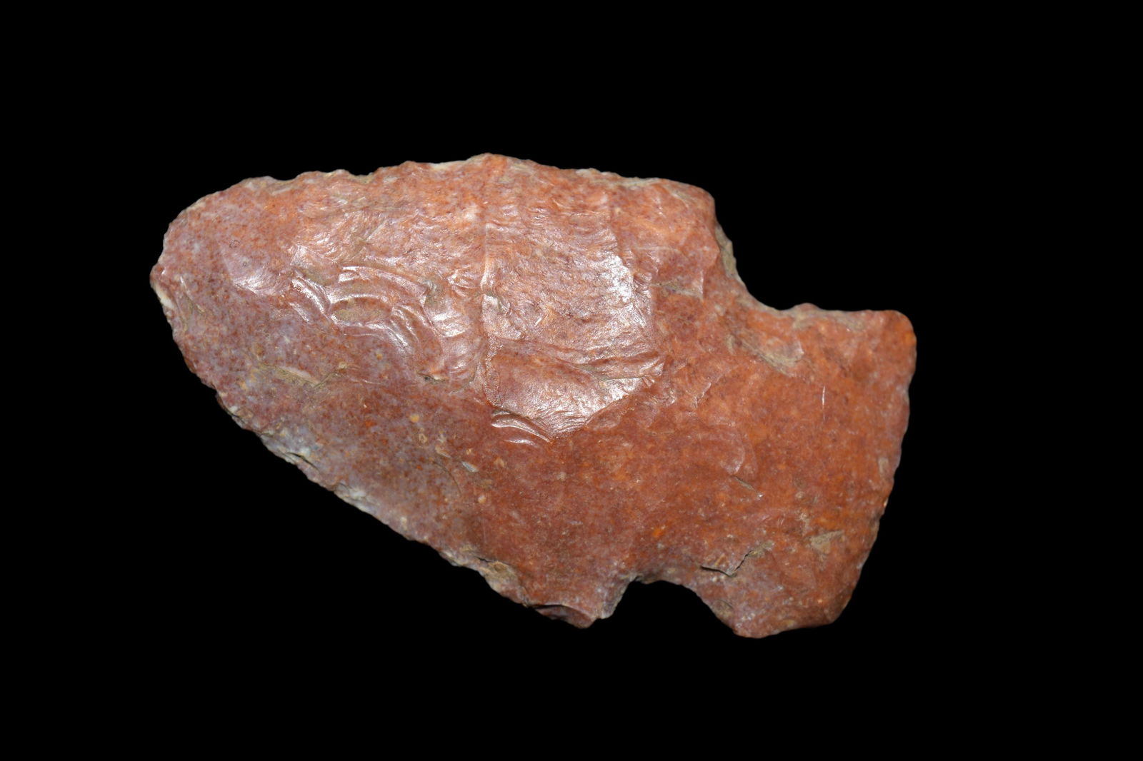 1 7/8" River stained Kampsville. This collection (1 of 12)