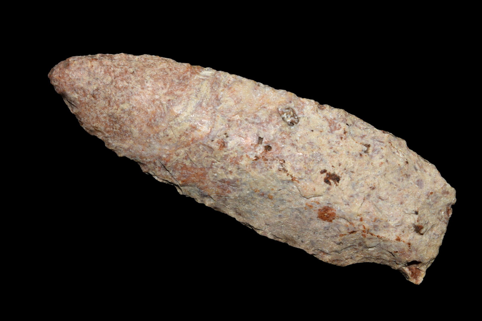 2 1/2" Woodland Point. This collection contains the (1 of 5)