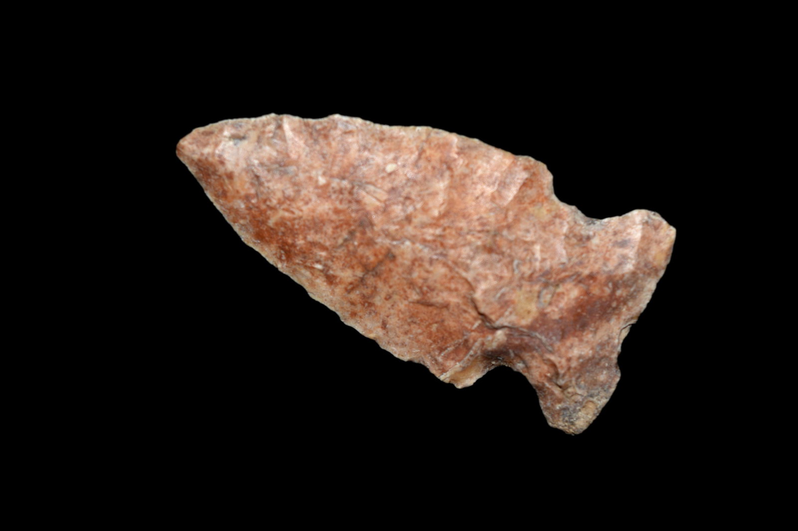 1 5/8" Woodland Point. This collection contains the (1 of 5)