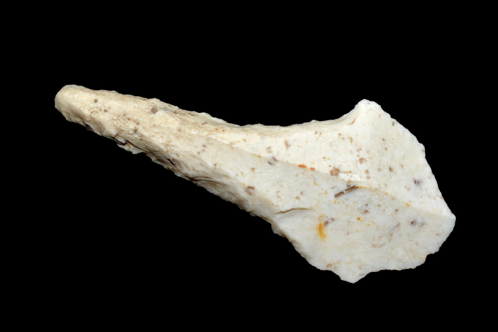 2 1/4" Drill. This collection contains the personally (1 of 6)